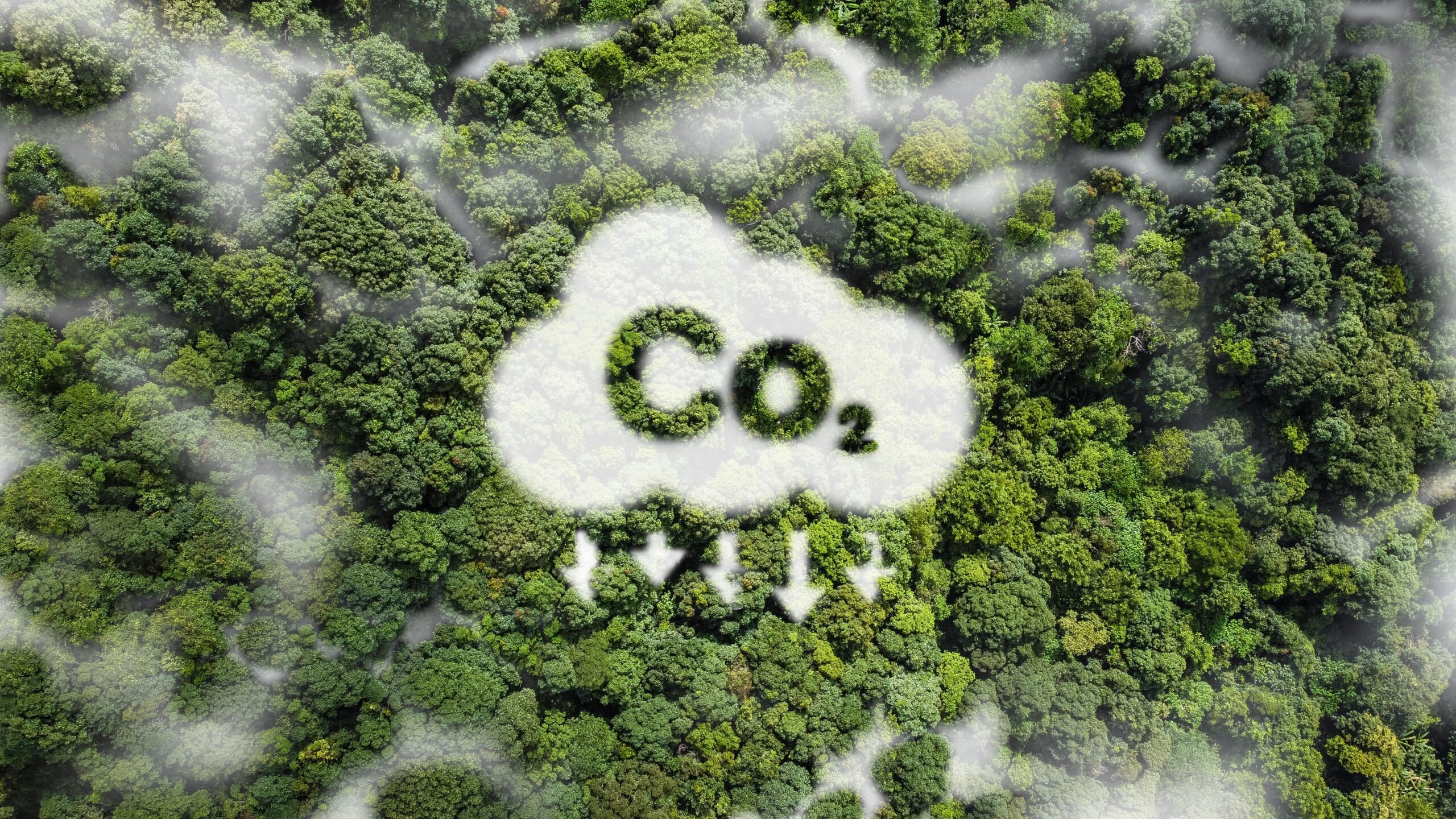 6× moins de CO₂, TENCEL™ vs coton